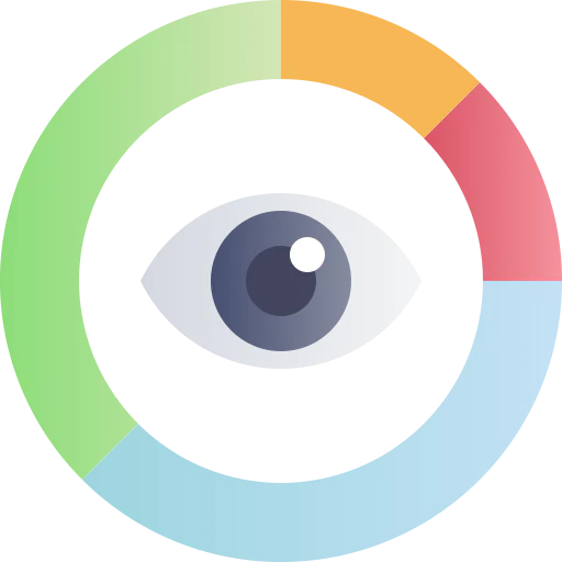 vision